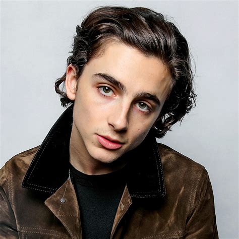 There are more options here timothee chalamet hair - zamungkor.org.pk