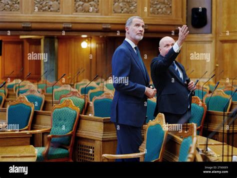 King Felipe And The Speaker Of The Danish Parliament Soeren Gade In The