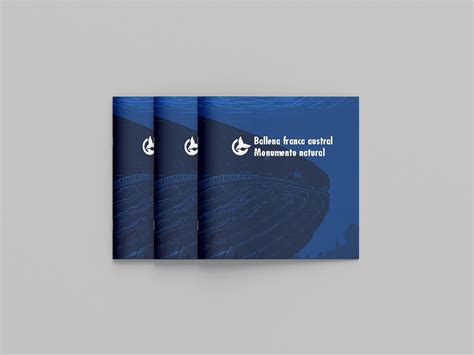 Dise O De Brochure Ballena Franca Austral Behance