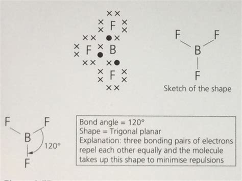 Inorganic Exam Study Guide Flashcards Quizlet