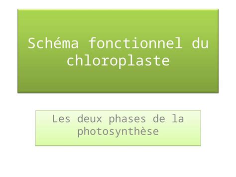 Ppt Sch Ma Fonctionnel Du Chloroplaste Les Deux Phases De La