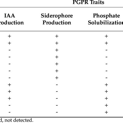 Some Of The Key Traits Of Plant Growth Promoting Bacteria Strains