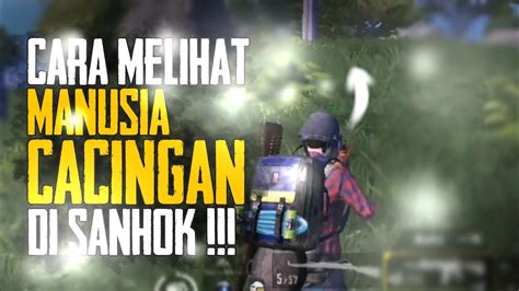 Cara Melihat Cacing Di Rumput Tebal Kills Solo Vs Squad Pubg