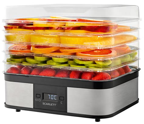 Сушарка для овочів і фруктів SCARLETT SC-FD421T19 – низькі ціни, кредит ...