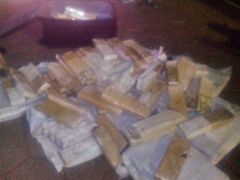 Polícia Civil de Ouro Preto apreende 176 kg de maconha em Vilhena