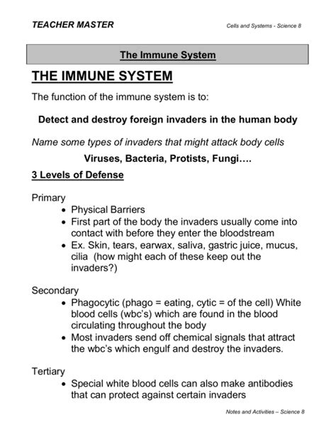 Immune System Notes