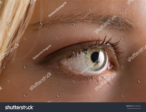 Sexy Blonde Blue Eyes Foto Stok 267393527 Shutterstock