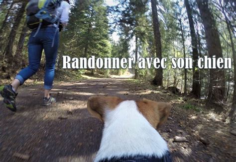 Partir En Randonn E Avec Son Chien Conseils Et Mat Riel