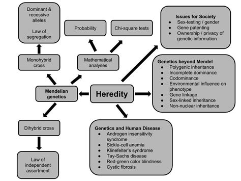 AP Biology Unit 6 Heredity Essential Knowledge Diagram Quizlet