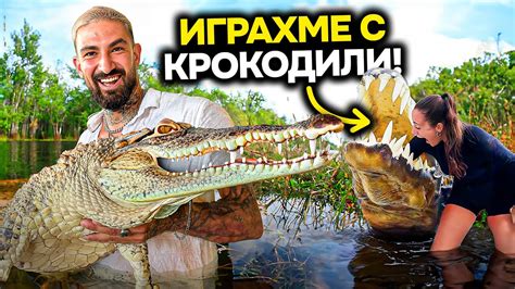 С ЛИЗА ГАЛИМ КРОКОДИЛИ - YouTube