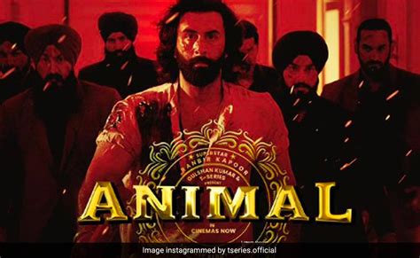 Animal Box Office Collection Day 21 डंकी की आंधी में रणबीर कपूर की