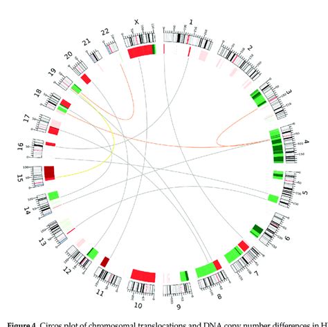 Circos Plot Of Chromosomal Translocations And Dna Copy Number