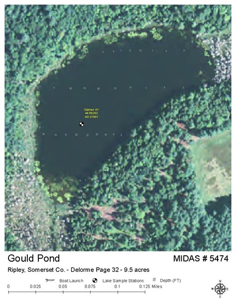 Lake Overview - Gould Pond - Dexter, Penobscot, Maine - Lakes of Maine