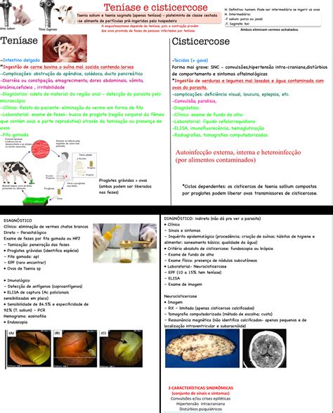 Ten Ase E Cisticercose Parasitologia Humana