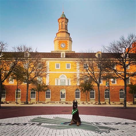 Interactive Parking Map for Eagle Lots at UNT : unt