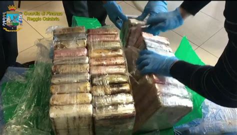 Porto Gioia Tauro Sequestrati 25 Kg Di Cocaina Purissima