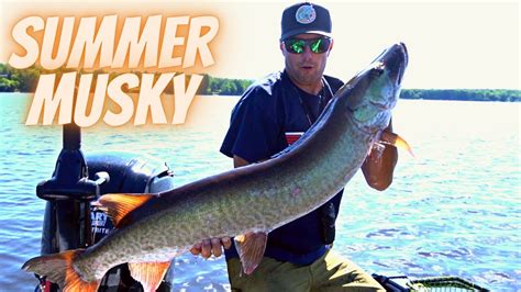 Mid Summer Musky Fishing Youtube