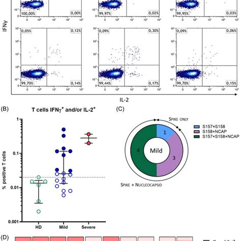 Cytokine release assay for the detection of SARS‐CoV‐2 specific memory ...