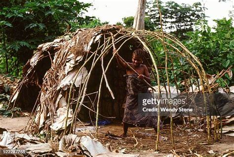 Mbuti Pygmies Photos And Premium High Res Pictures Getty Images