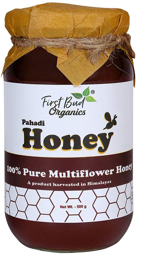 10 Best (Pure & Organic) Honey Brands to buy in India (2024)