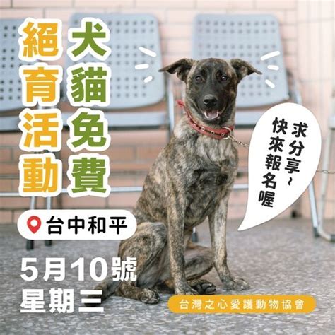 【台中市｜3月犬貓免費絕育活動】 台灣之心愛護動物協會 Hotac