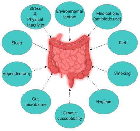 Antibiotics Cause Crohns Disease Pregnancy Informations