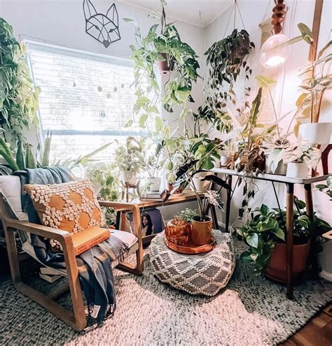 House Plant Decor Ideas For Every Room Of The House Days Inspired