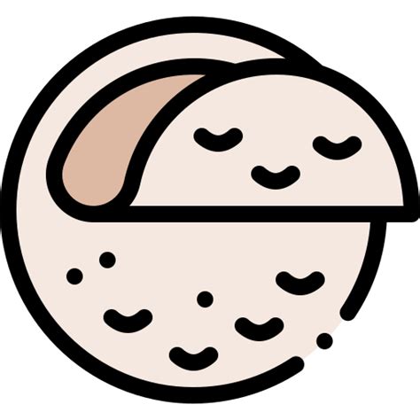 Tortilla Detailed Rounded Lineal Color Icon