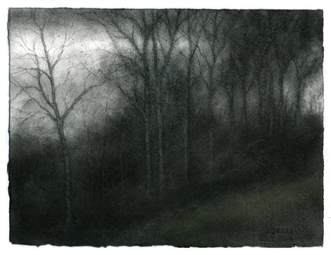 Sue Bryan Studio Di Un Albero Disegno Di Paesaggio A Carboncino In