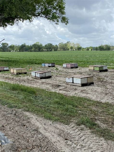 Natural Bridge Honey — This Farm CARES