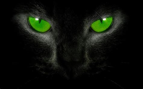 Black Cat Emerald Eyes By Welshdragon On DeviantArt