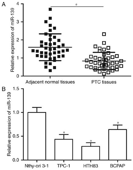 Mir Expression Is Down Regulated In Ptc Tissues And Cell Lines A