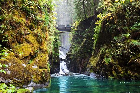 Olympic National Park Camping | Survival Life National Park Series ...