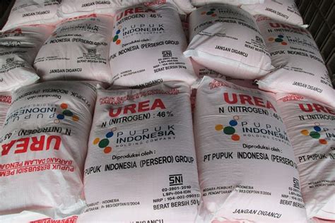 Mengenal Pupuk Urea Adalah Dan Berbagai Manfaatnya Untuk Tanaman