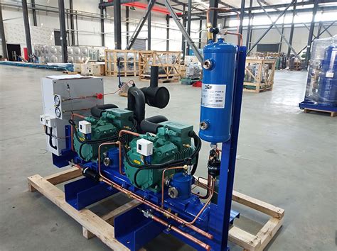 Best Bitzer Compressor Rack Condensing Units Manufacturer And Factory