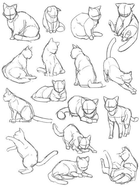 Cat Hand Drawing In 2023 Cats Art Drawing Cat Drawing Tutorial Cartoon Cat Drawing