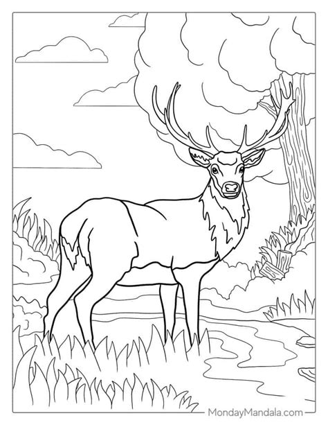 Free Printable Unicorn Deer Coloring Page