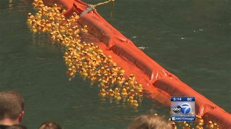 Rubber Ducky Derby Makes Big Splash On Chicago River