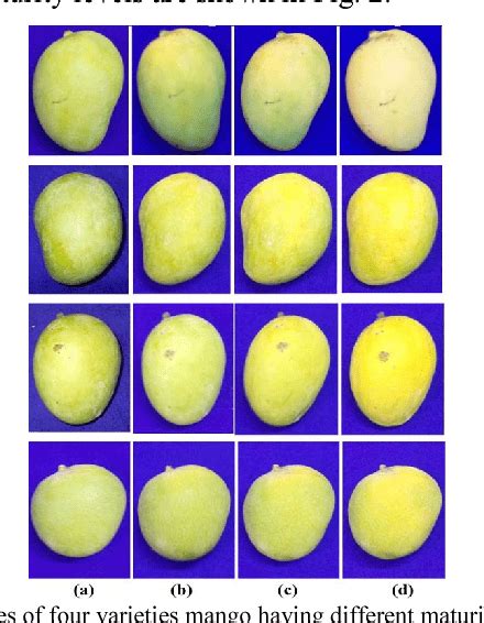 An Automated Machine Vision Based System For Fruit Sorting And Grading