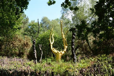 Quelques coups de bite en forêt Telegraph