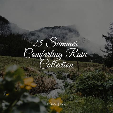 25 Summer Comforting Rain Collection Album De Big Sounds Spotify