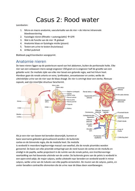 Casus 2 Casus 2 Rood Water Leerdoelen Micro En Macro Anatomie