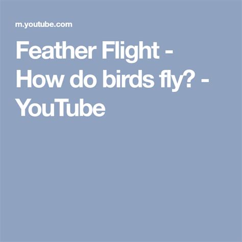 Feather Flight How Do Birds Fly Youtube How Do Birds Fly