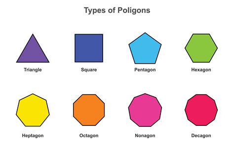 tipos de polígono formas matemáticas ilustración vectorial 18891987