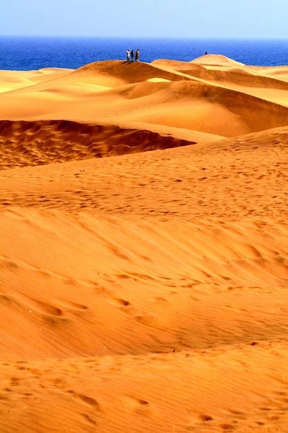 Premium Photo | Sand desert