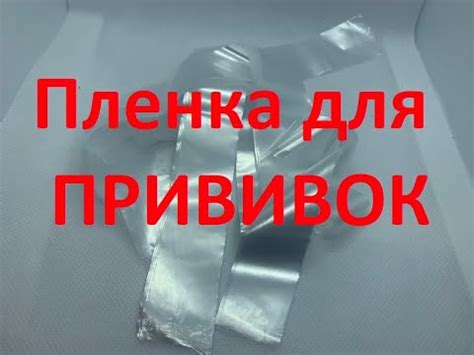 Пленка для прививки продажа. - YouTube