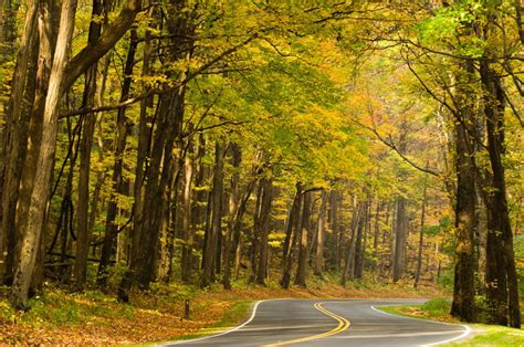 Newfound Gap Road | Shutterbug