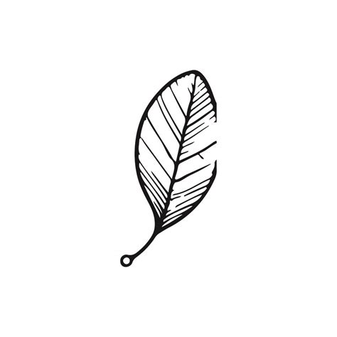 Free Fall Leaf Svg Black And White Svg Vector File For Laser Cutting 3 K40 Laser Cutter