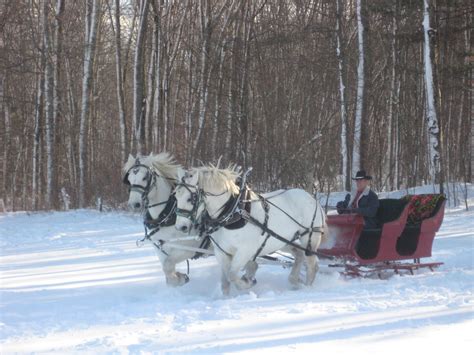 Cedar Knoll Farm: Got Snow? Take the Sleigh!