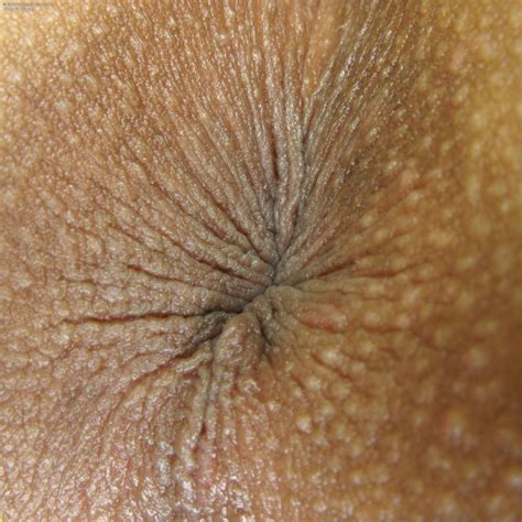 The Definitive Closeup Porn Pic